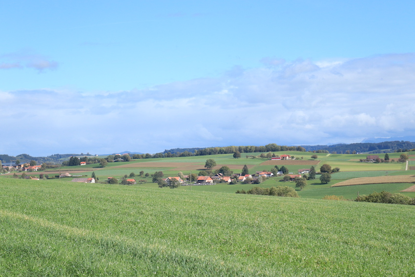 Gymnase Provence [officiel]